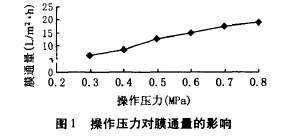 納濾膜，廢水滲透液，COD，去除效果