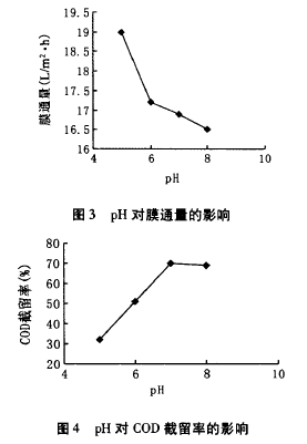 納濾膜，廢水滲透液，COD，去除效果