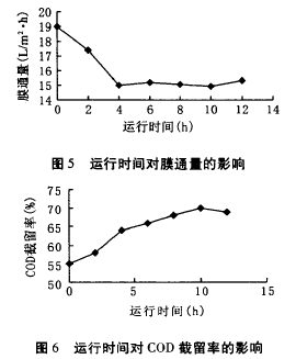 納濾膜，廢水滲透液，COD，去除效果